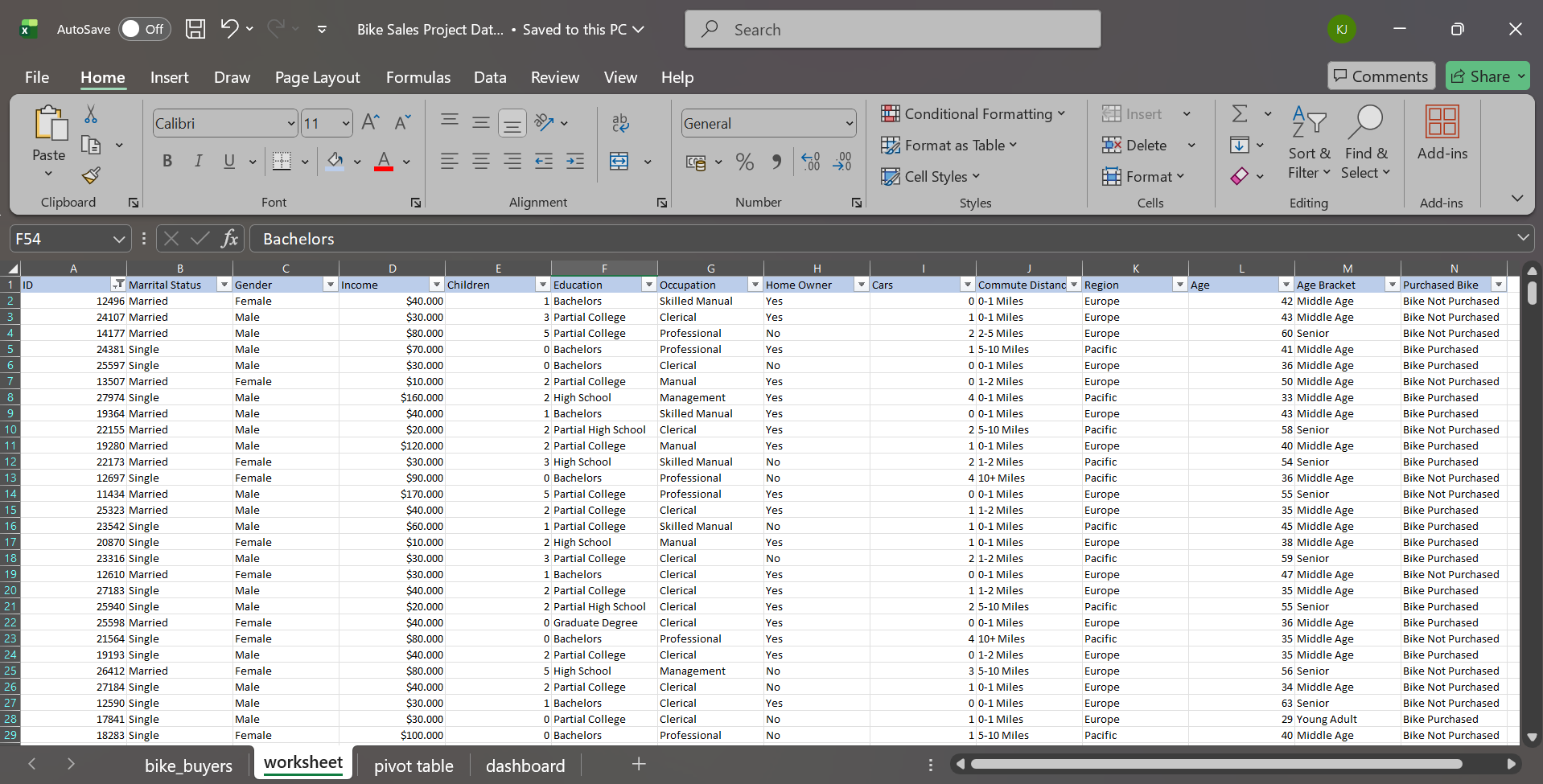 Excel Worksheet after Data Cleaning